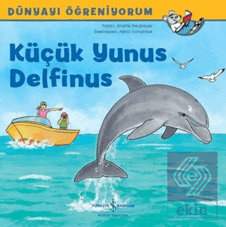 Küçük Yunus Delfinus