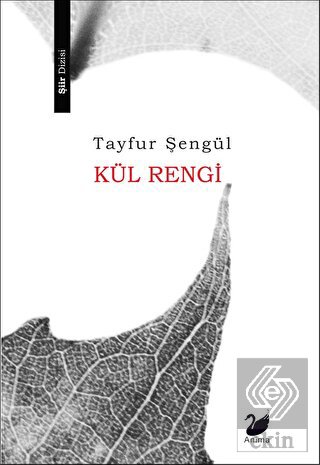 Kül Rengi
