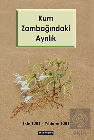 Kum Zambağındaki Ayrılık