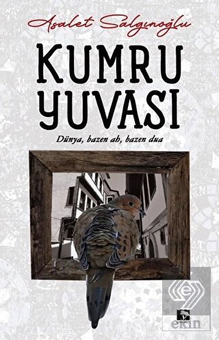 Kumru Yuvası