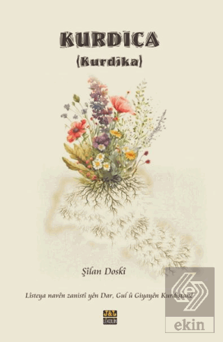 Kurdica (Kurdîka) - 1