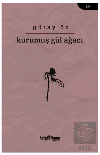 Kurumuş Gül Ağacı