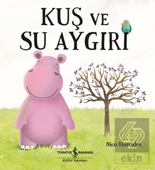 Kuş ve Su Aygırı