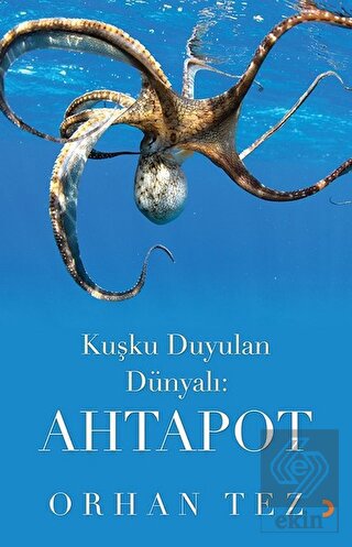 Kuşku Duyulan Dünyalı: Ahtapot