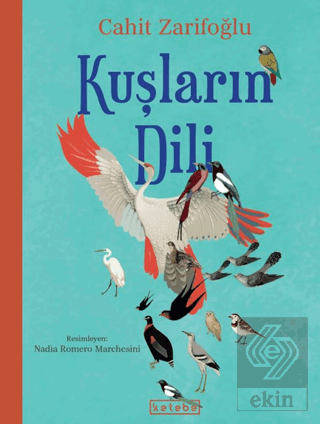 Kuşların Dili