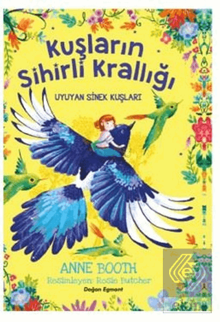 Kuşların Sihirli Krallığı - Uyuyan Sinek Kuşları