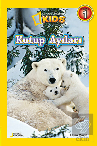 Kutup Ayıları Seviye 1