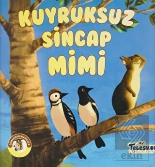 Kuyruksuz Sincap Mimi - Ormandan Hikayeler