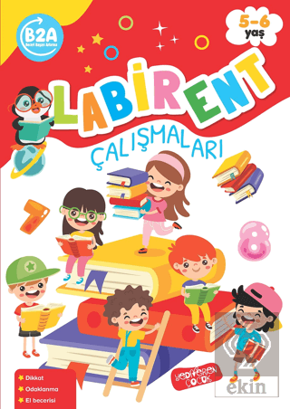 Labirent Çalışmaları