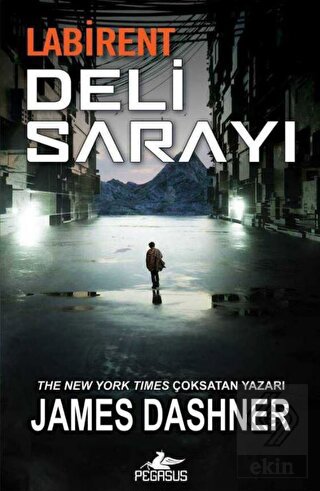 Labirent: Deli Sarayı