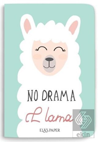 Lama Notebook Su Yeşili - Defter