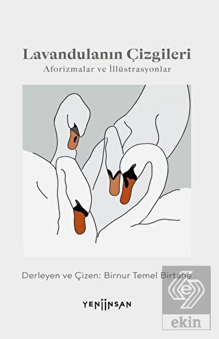 Lavandulanın Çizgileri