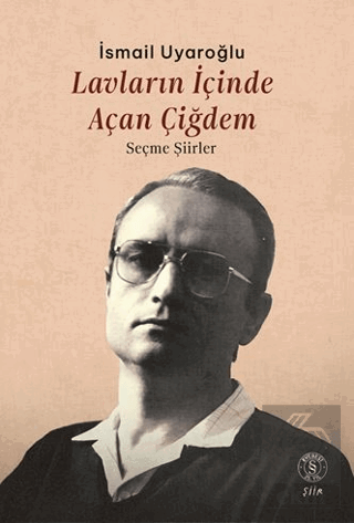 Lavların İçinde Açan Çiğdem