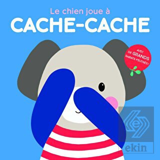 Le Chien Joue A Cache-cache