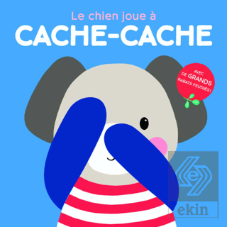 Le Chien Joue A Cache-cache