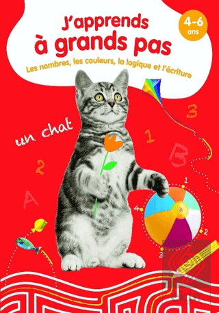 Les Nombres, Les Couleurs, La Logique Et L'ecritur