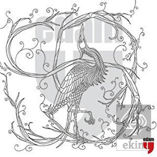 Leylek Boyama Föyü - 20'li Paketler Halinde