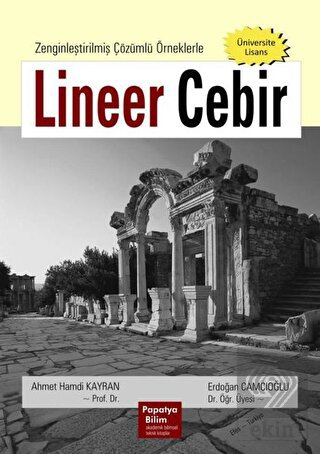 Lineer Cebir: Zenginleştirilmiş Çözümlü Örneklerle