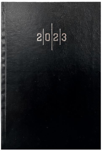 Liz 17x24 Cilt Bezi Günlük Ajanda 2025