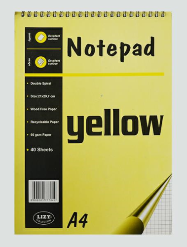 LİZ A4 SPİRALLİ BLOKNOT 40 YP. KARELİ