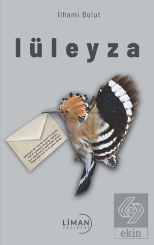 Lüleyza