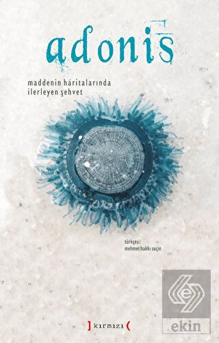 Maddenin Haritalarında İlerleyen Şehvet