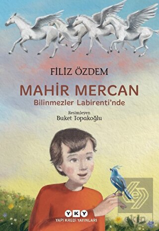 Mahir Mercan - Bilinmezler Labirenti'nde