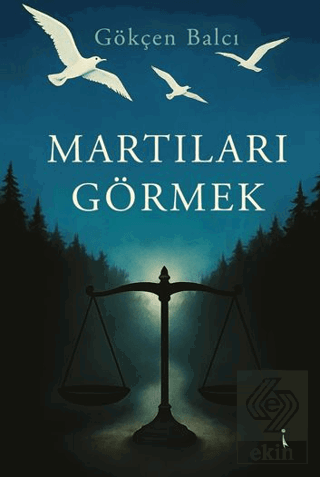 Martıları Görmek