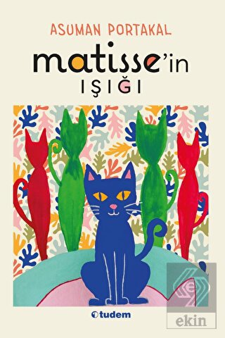 Matisse'in Işığı
