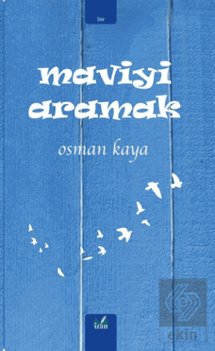 Maviyi Aramak
