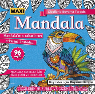 Maxi Mandala Çizgilerle Boyama Terapisi 11