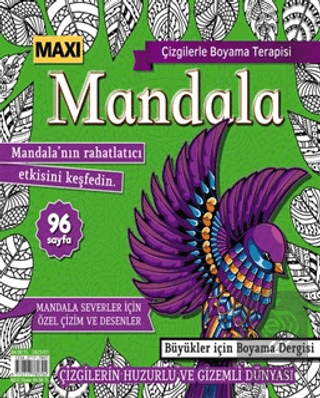 Maxi Mandala Çizgilerle Boyama Terapisi 9