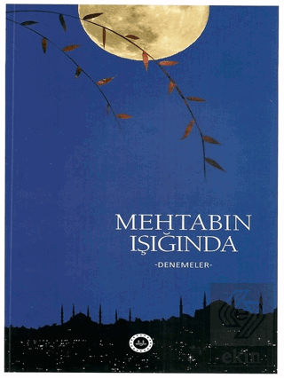 Mehtabın Işığında
