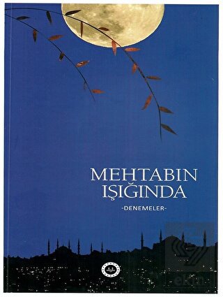 Mehtabın Işığında