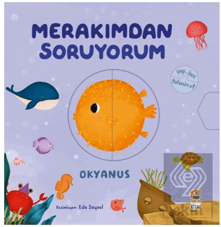 Merakımdan Soruyorum- Okyanus