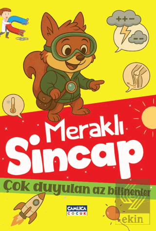 Meraklı Sincap