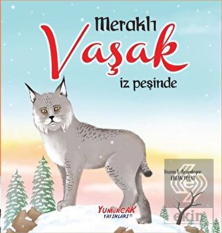Meraklı Vaşak İz Peşinde