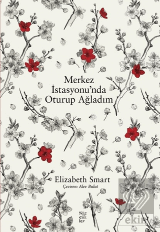 Merkez İstasyonu'nda Oturup Ağladım