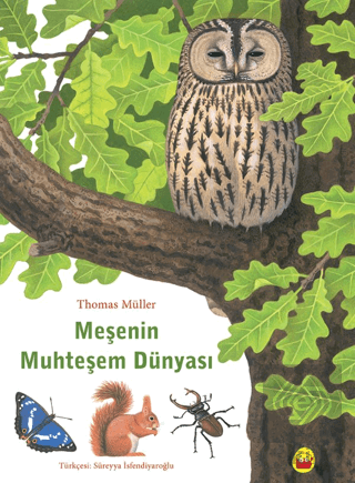 Meşenin Muhteşem Dünyası