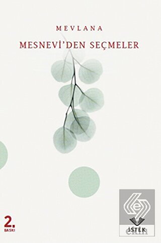 Mesnevi\'den Seçmeler