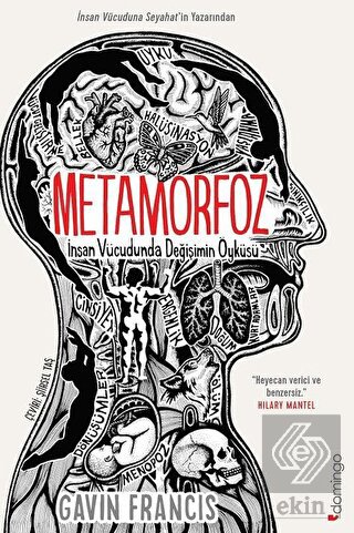 Metamorfoz: İnsan Vücudunda Değişimin Öyküsü