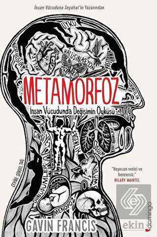 Metamorfoz: İnsan Vücudunda Değişimin Öyküsü