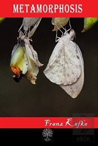 Metamorphosis