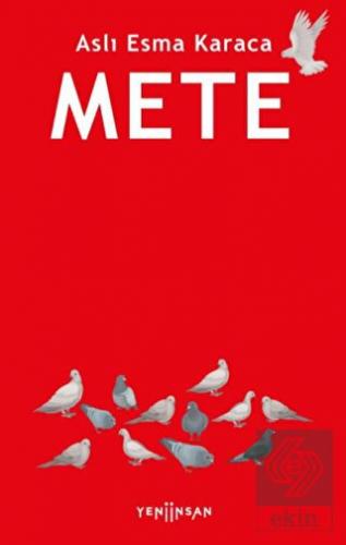 Mete