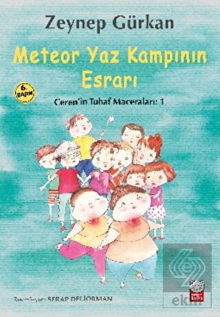 Meteor Yaz Kampının Esrarı