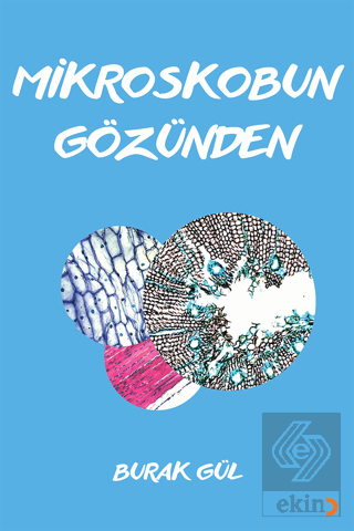 Mikroskobun Gözünden