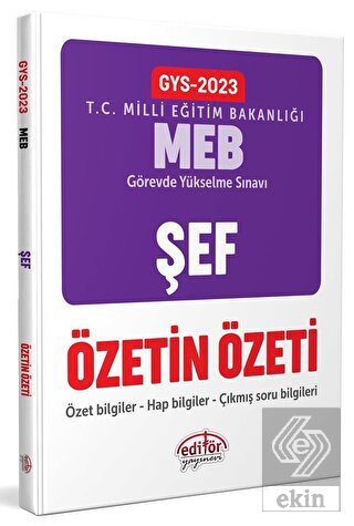 Milli Eğitim Bakanlığı Şef GYS Özetin Özeti
