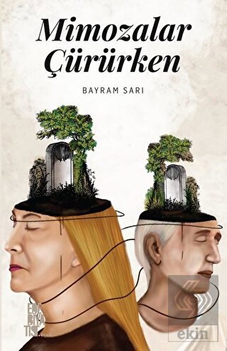 Mimozalar Çürürken