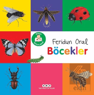 Minik Kitaplarım Böcekler