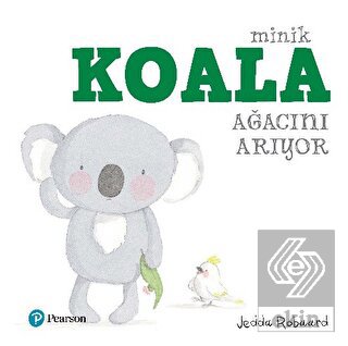 Minik Koala Ağacını Arıyor